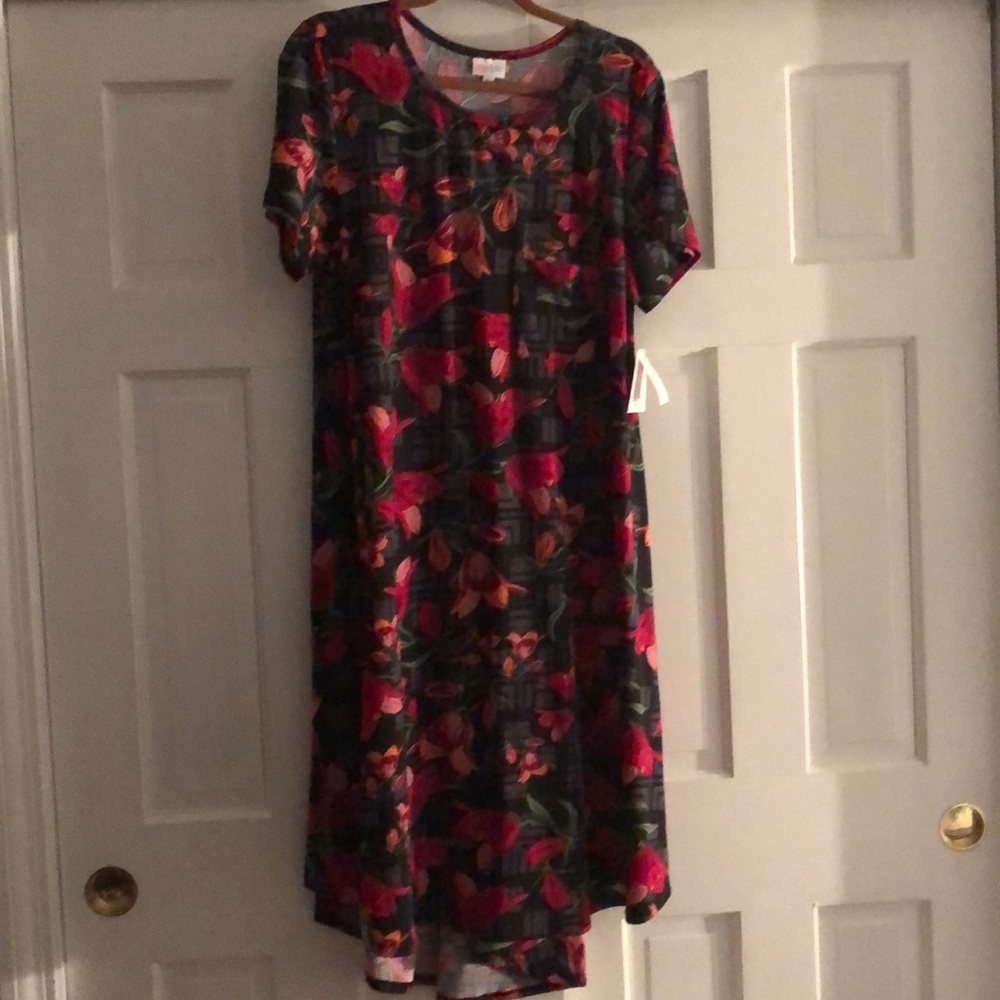 LulaRoe XL Carly